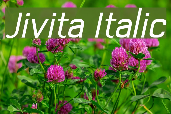 Jivita Italic Font examples