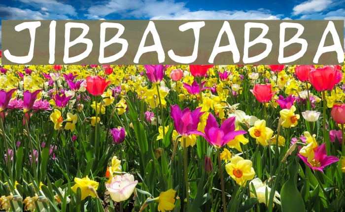 jibbajabba Font examples