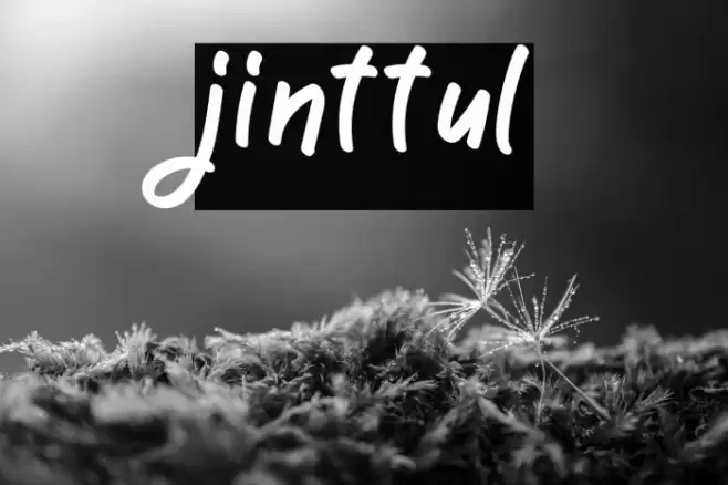 jinttul फ़ॉन्ट examples