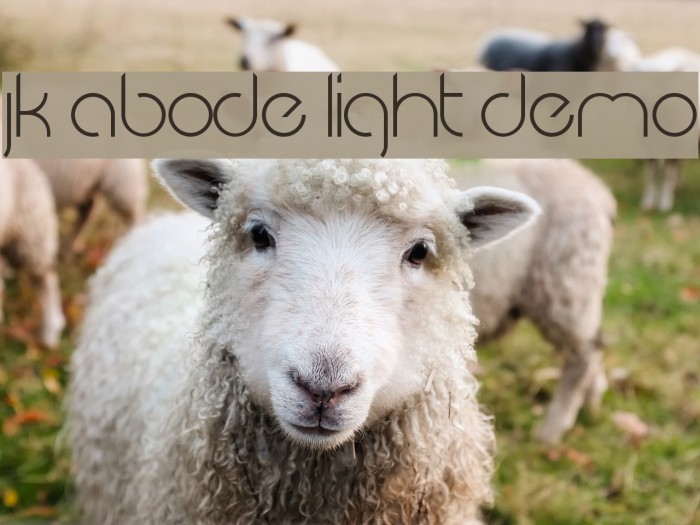 JK Abode Light Demo Font examples
