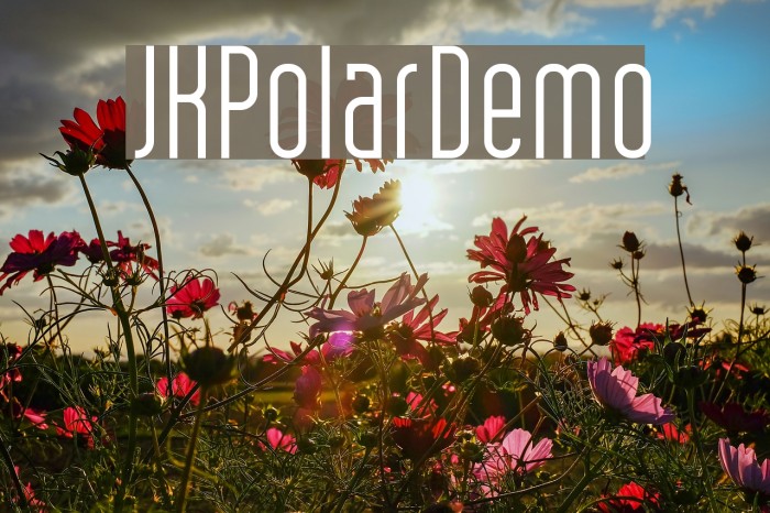 JKPolarDemo Font examples