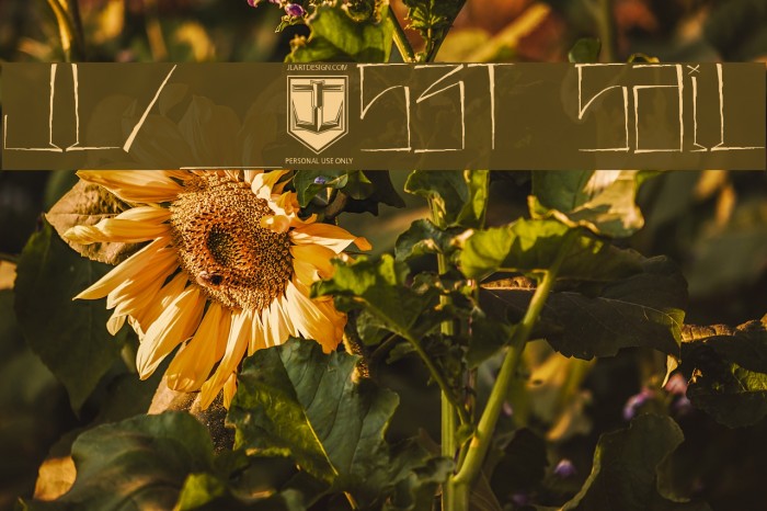 JL357_SET SAIL Example 1