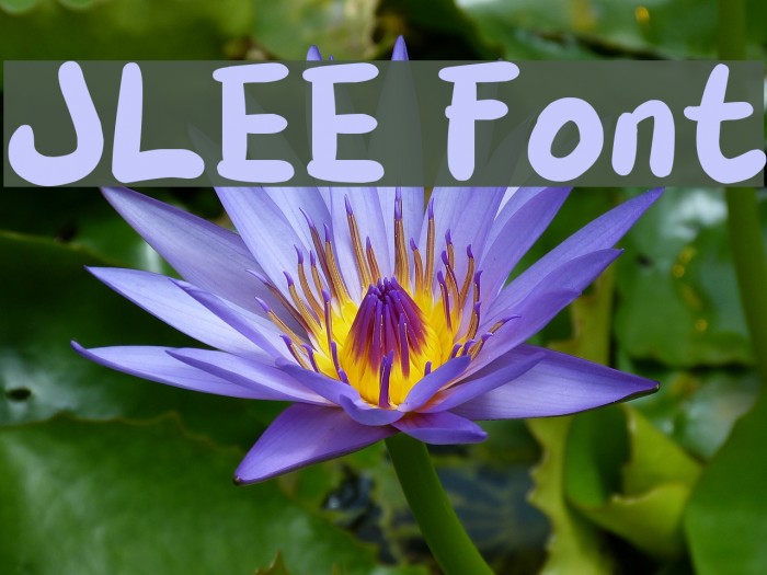 JLEE Font examples