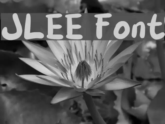 JLEE Polices examples