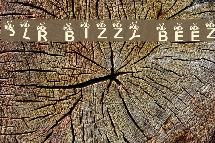 JLR Bizzy Beez Example 2