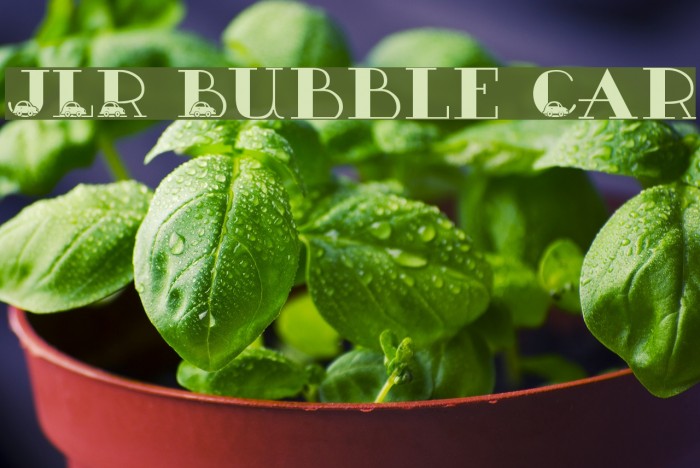 JLR Bubble Car Example 2