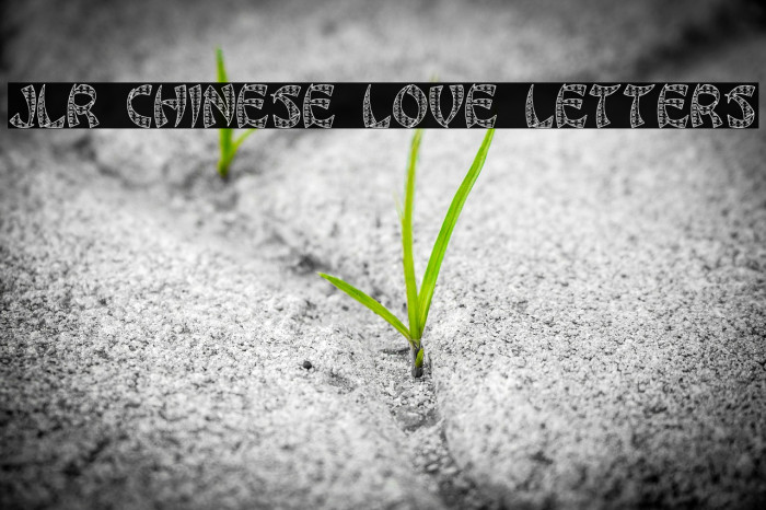 JLR Chinese Love Letters Font examples