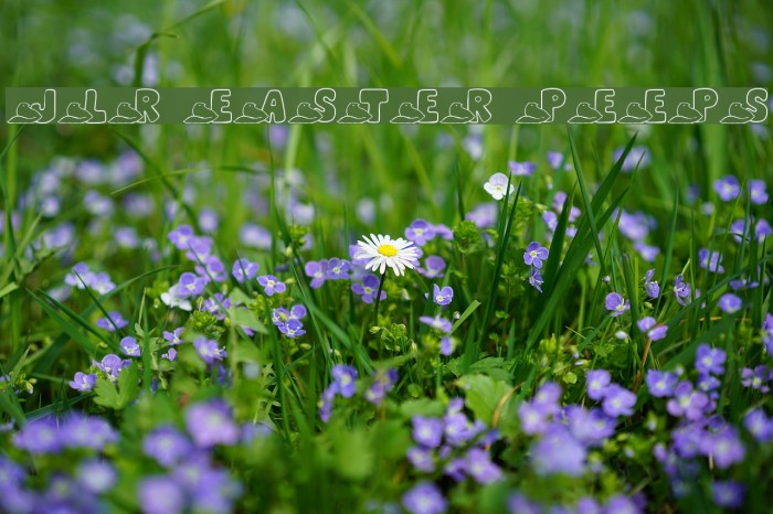 JLR Easter Peeps Font examples