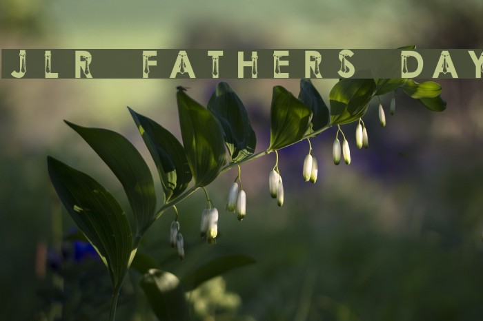 JLR Father's Day Example 3