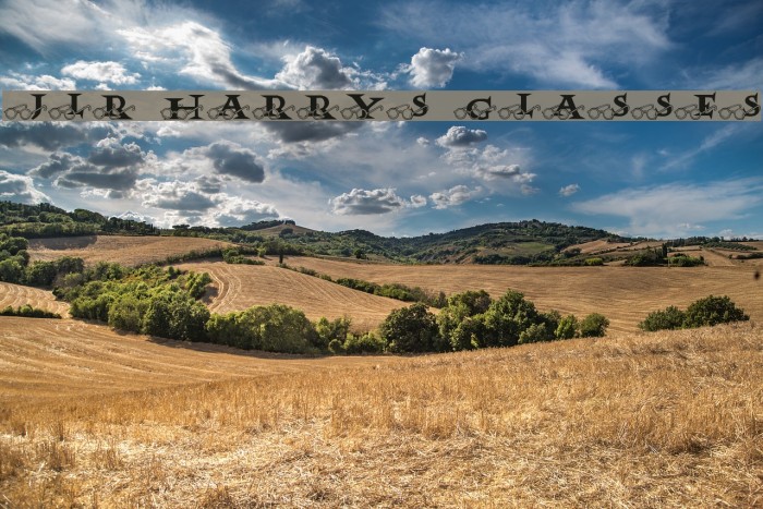 JLR Harry's Glasses Font examples