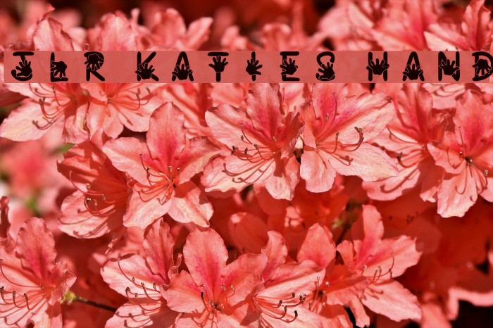JLR Katie's Hand Font examples