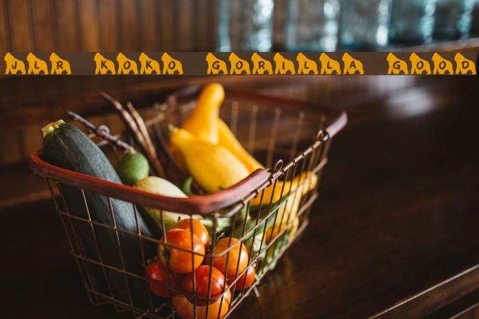 JLR Koko Gorilla Good Example 1