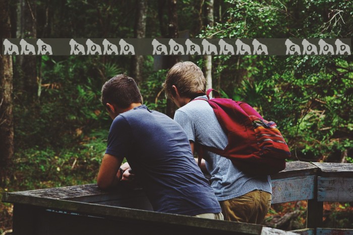 JLR Koko Gorilla Good Example 2