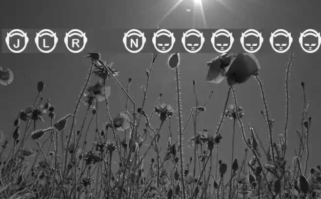 JLR Napfont Font examples