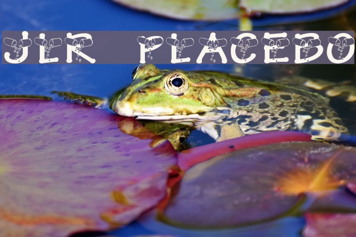 JLR Placebo Font examples