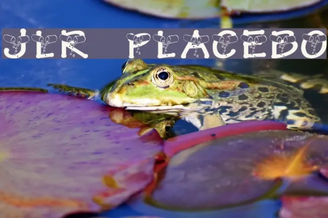 JLR Placebo Example 1