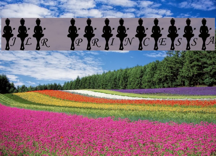 JLR Princessa Example 1