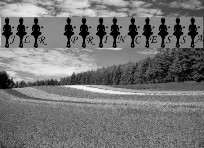 JLR Princessa Font examples