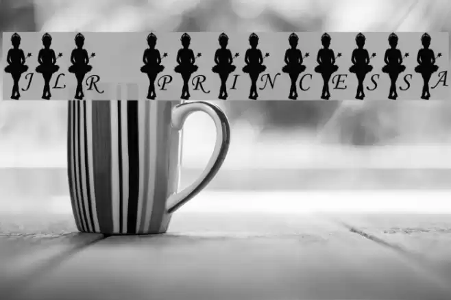 JLR Princessa Font examples