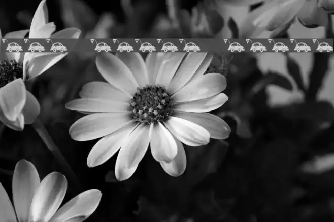 JLR Punch Buggy Font examples