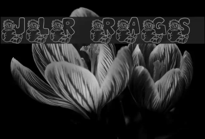 JLR Rags 1 Schriftart examples