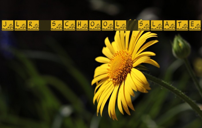 JLR School Slate Font examples