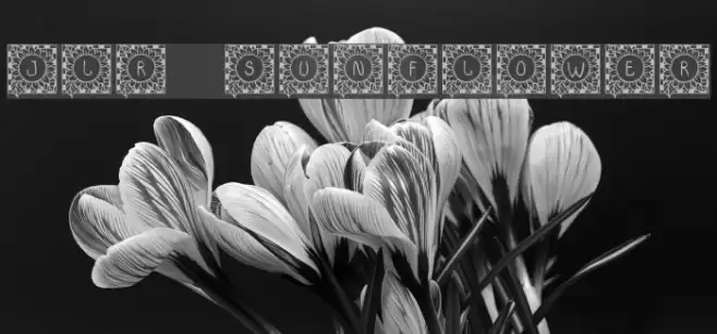 JLR Sunflower Font examples