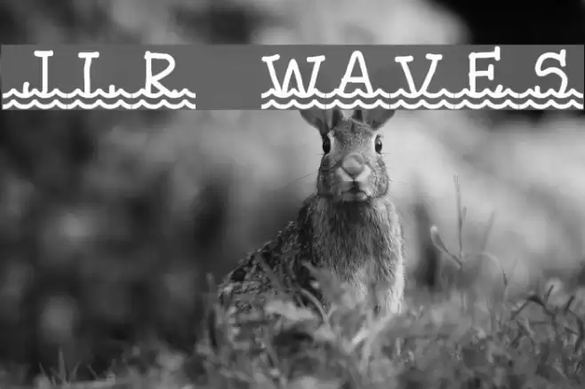 JLR Waves Font examples