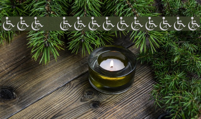 JLR Wheelchair Font examples