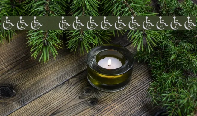 JLR Wheelchair Example 3