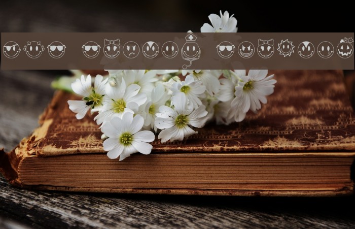 JLS Smiles Sampler Font examples