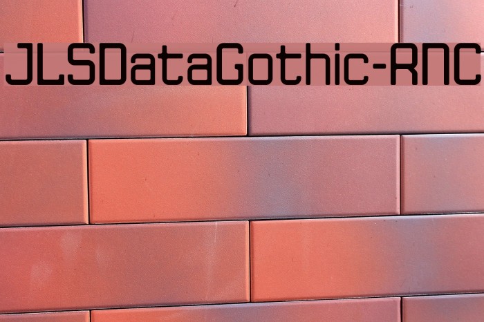 JLSDataGothic-RNC Font examples