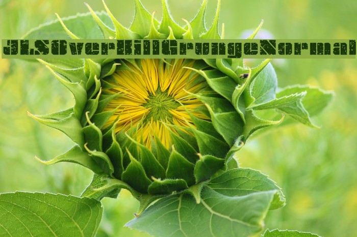 JLSOverKillGrungeNormal Example 2