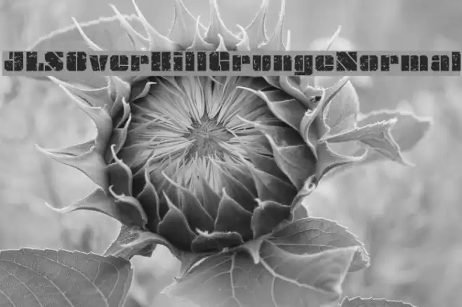 JLSOverKillGrungeNormal Font examples