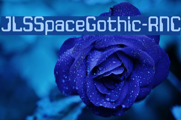 JLSSpaceGothic-RNC Font examples
