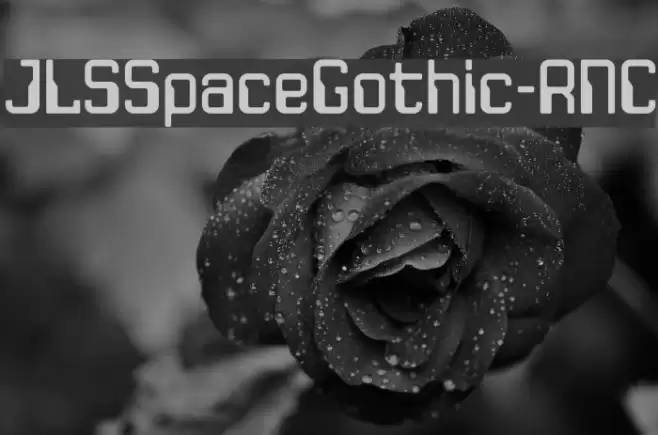 JLSSpaceGothic-RNC Font examples