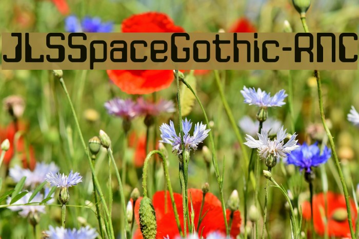 JLSSpaceGothic-RNC Font examples