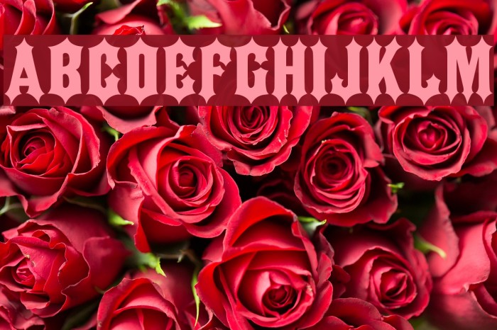 JMH IRON CAPS Regular Font examples