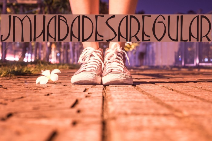 JMHAbadesa-Regular Example 2