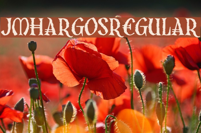 JMHArgos-Regular Example 3