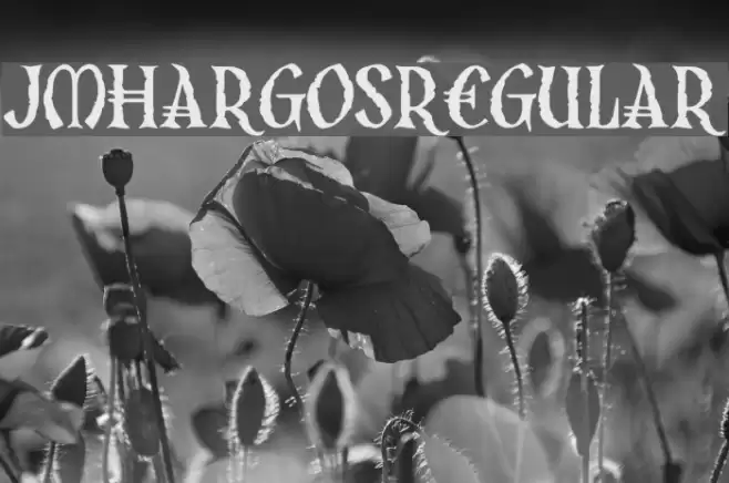 JMHArgos-Regular Font examples