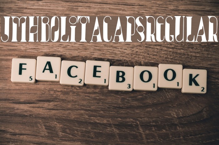 JMHBolitaCaps-Regular Example 2