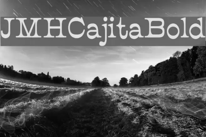 JMHCajita-Bold Polices examples
