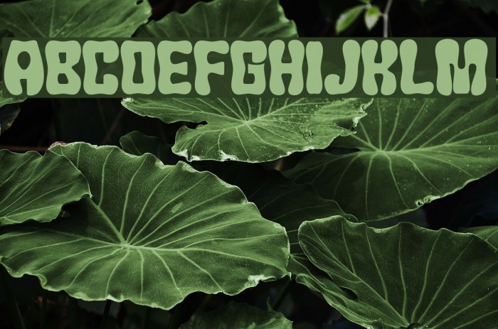 JMHChicle-Regular Font examples