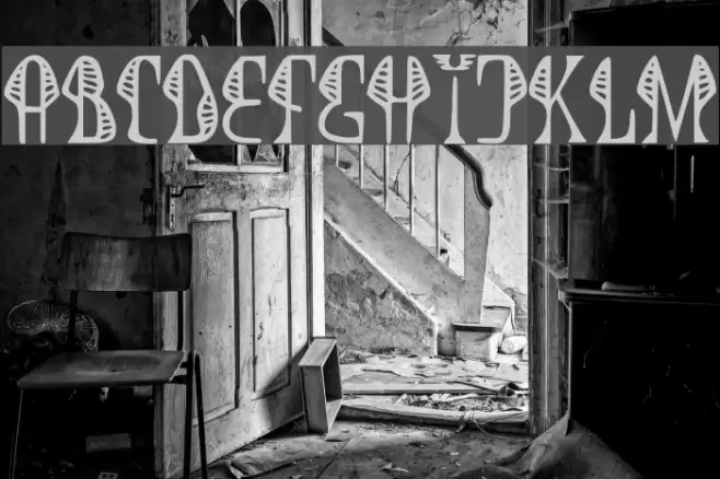 JMHCobra-Regular Font examples