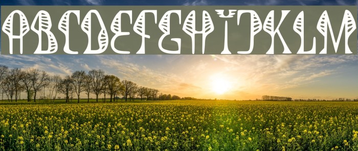 JMHCobra-Regular Example 2