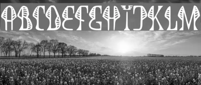 JMHCobra-Regular Font examples