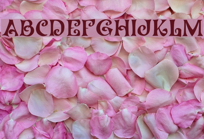 JMHCoronilla-Regular Font examples