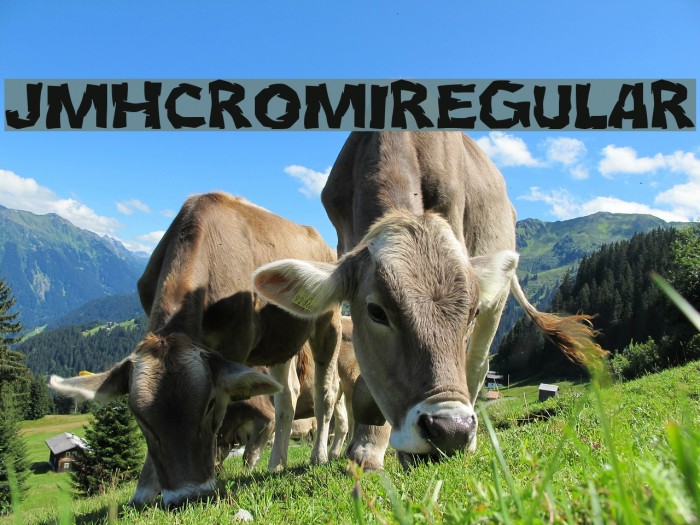 JMHCromI-Regular Font examples