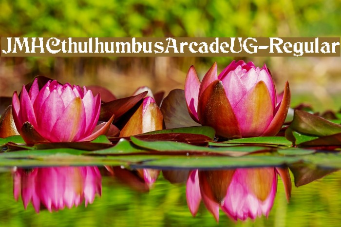 JMHCthulhumbusArcadeUG-Regular Example 3